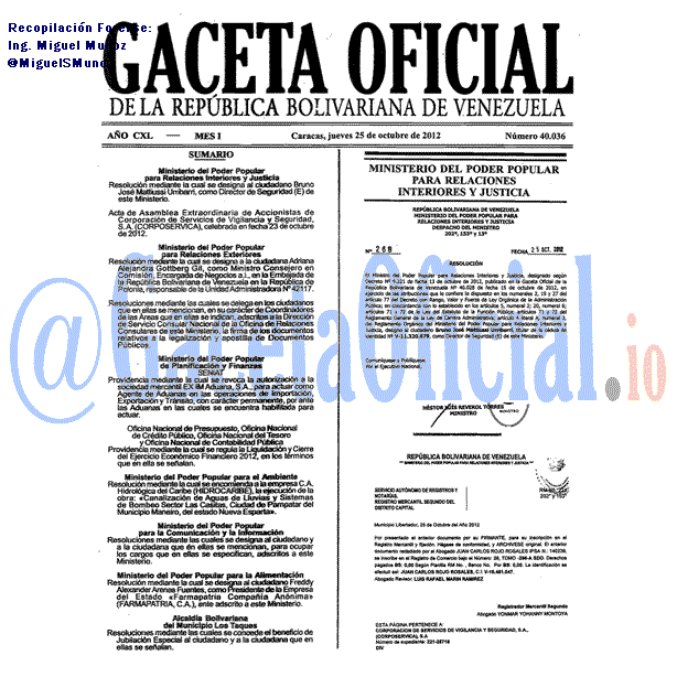 Gaceta Oficial 40036 del 25 Octubre 2012