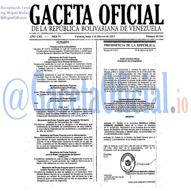 Gaceta Oficial 40104 del 4 Febrero 2013